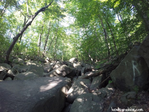 Sourland Mountain Preserve - Roaring Rocks