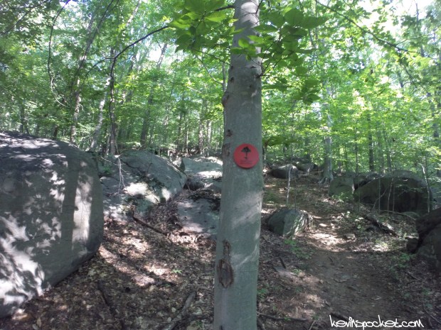 Sourland Mountain Preserve - Roaring Rocks