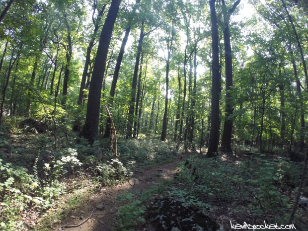 Sourland Mountain Preserve - Roaring Rocks