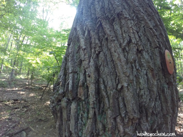 Sourland Mountain Preserve - Roaring Rocks