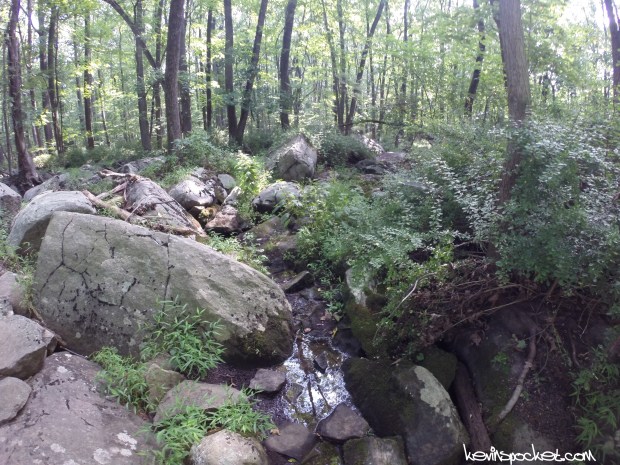 Sourland Mountain Preserve - Roaring Rocks