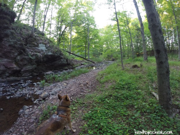 Bunker Hill Natural Area