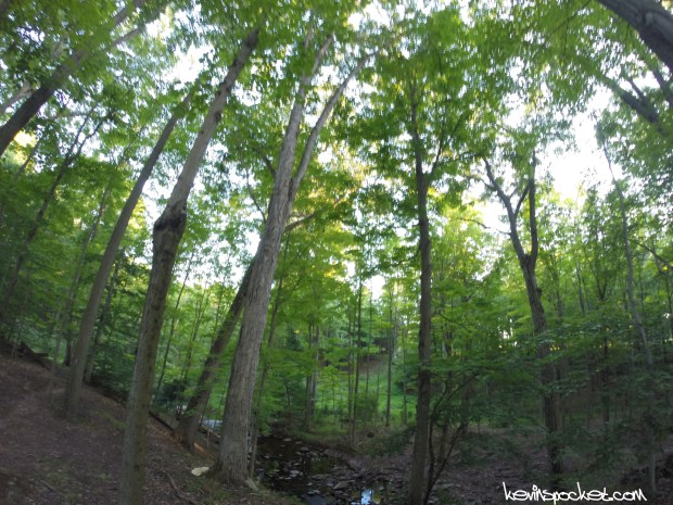 Bunker Hill Natural Area