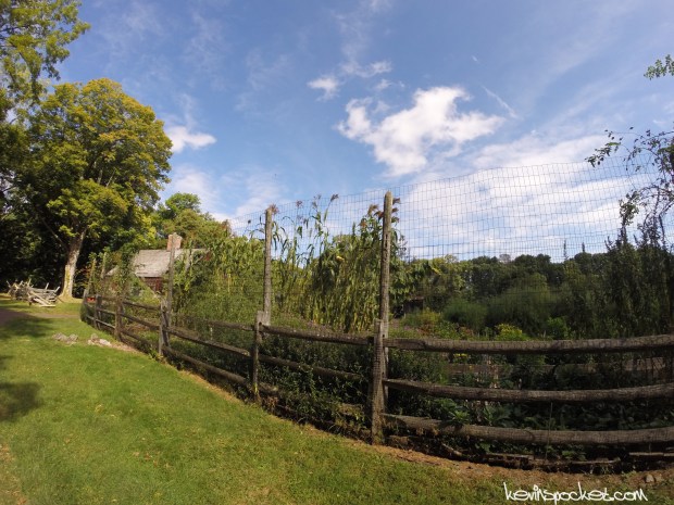 Jockey Hollow | Wick Farm