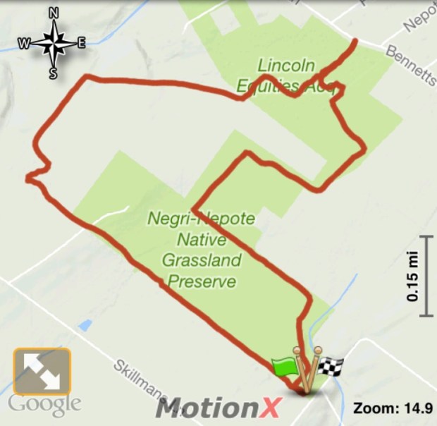 negri-nepote-native-grassland-preserve