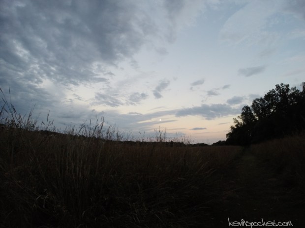 Negri-Nepote Native Grassland Preserve