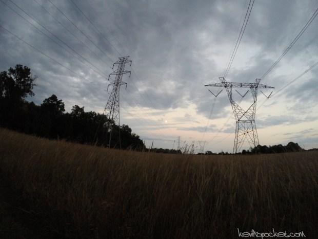Negri-Nepote Native Grassland Preserve