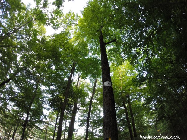 Washington Valley Park East Hike