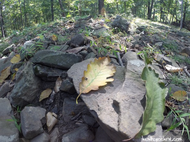 Washington Valley Park East Hike