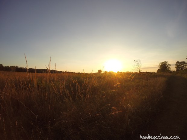 Griggstown Native Grassland Preserve Hike