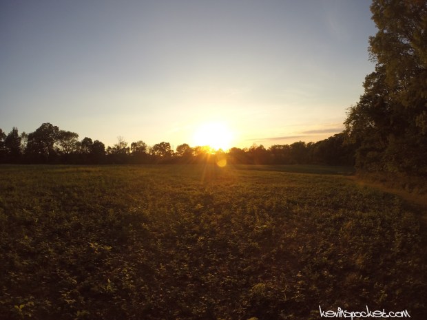 Griggstown Native Grassland Preserve Hike
