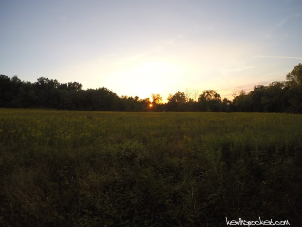 Griggstown Native Grassland Preserve Hike