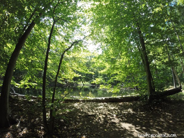 Jockey Hollow | NY Brigade Trail