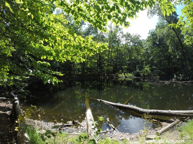 Jockey Hollow | NY Brigade Trail