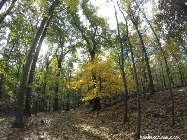 Eagle Rock Reservation