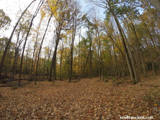 Eagle Rock Reservation