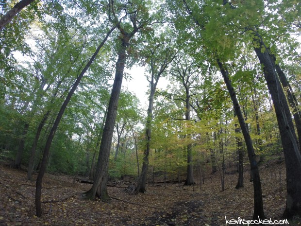 Eagle Rock Reservation