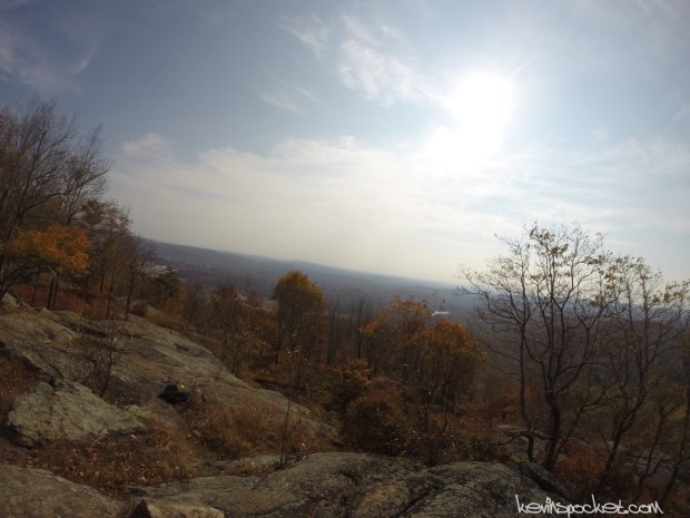 Norvin Green State Forest