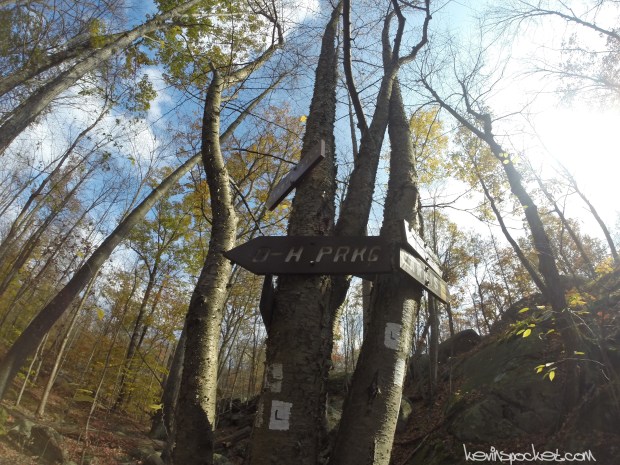 Norvin Green State Forest