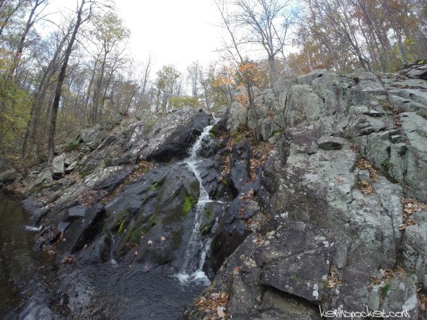 Norvin Green State Forest