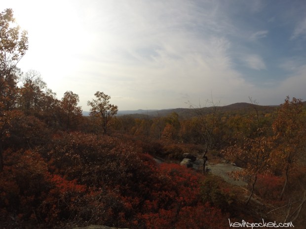 Norvin Green State Forest