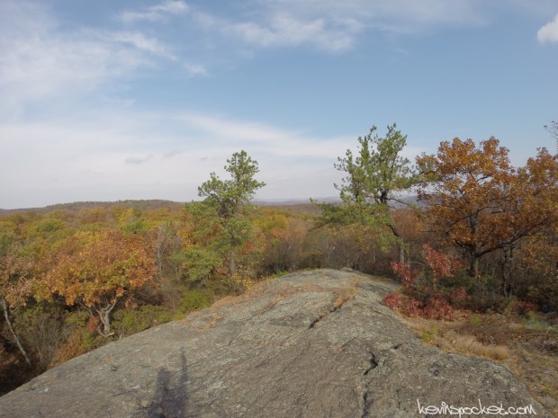Norvin Green State Forest