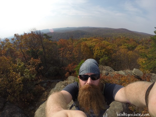 Norvin Green State Forest