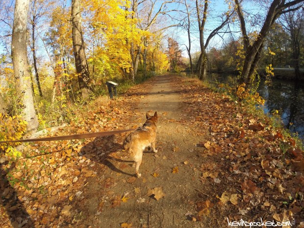 D&amp;R Canal State Park